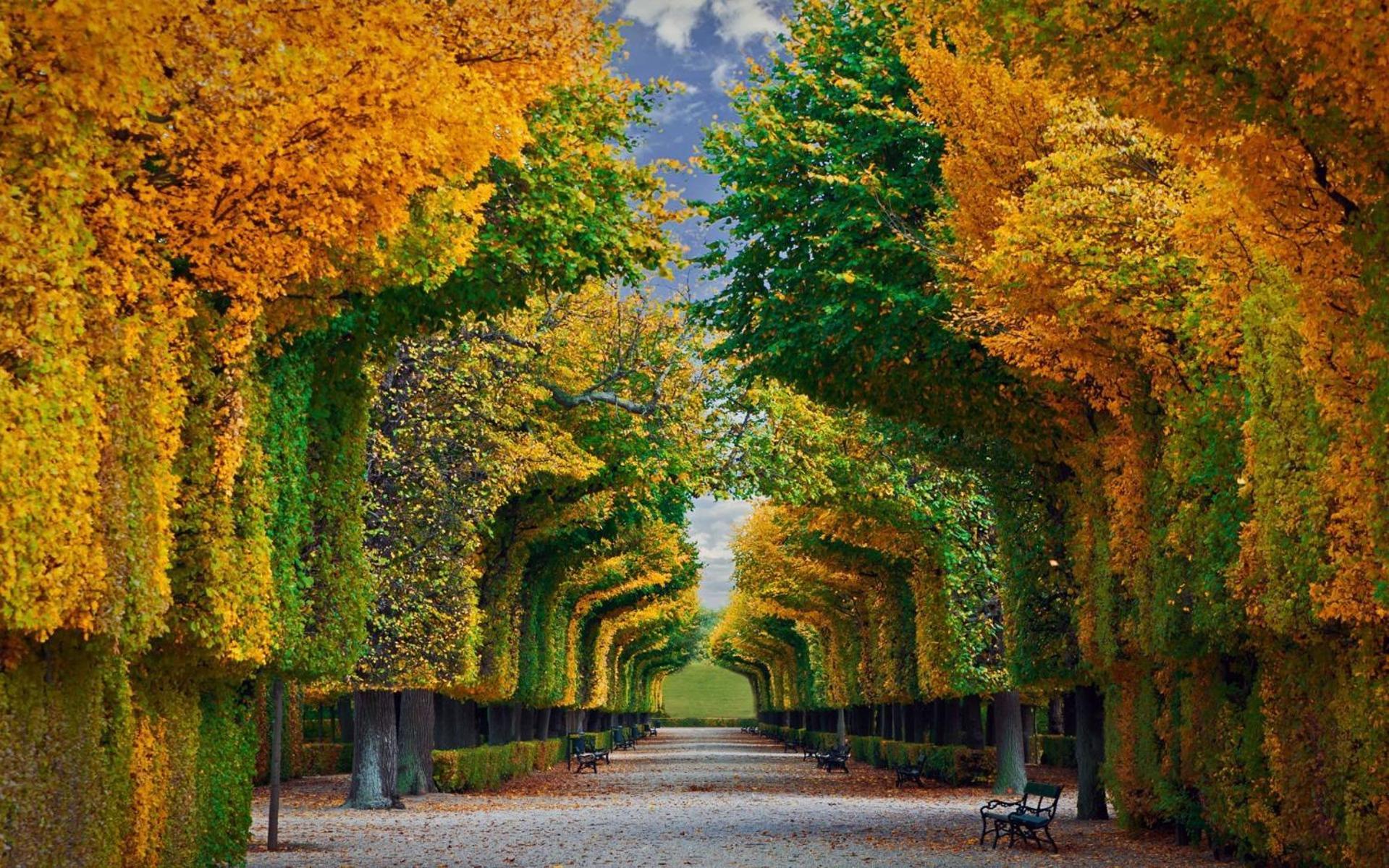Regal Retreat Intimate Elegance Near Schoenbrunn Palace Vienna Esterno foto